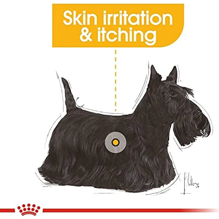 Royal Canin Dermacomfort Mini, Hundefutter für empfindliche Haut, 8 kg – Bild 7