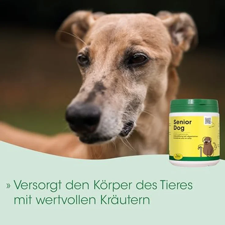 cdVet SeniorDog, Hundefutter zur ernährungsbedingten Unterstützung im Alter, Pulver, 70 g – Bild 7