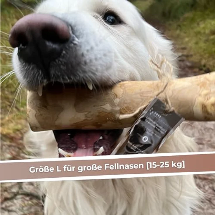 Zoys® Kaffeeholz für Hunde, Natürlicher Kauknochen L, 3 Stück – langlebig, splitterarm, fördert Zahngesundheit & Beschäftigung – Bild 3