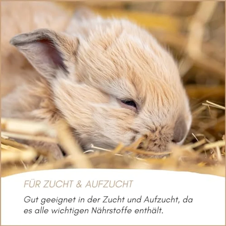 Supravit Hasenfutter & Kaninchenfutter 5kg, Alleinfutter für Zwergkaninchen, Kaninchen & Hasen, ideal als Zucht- und Aufzuchtfutter, mit wichtigen Nährstoffen für ein gesundes Leben – Bild 4