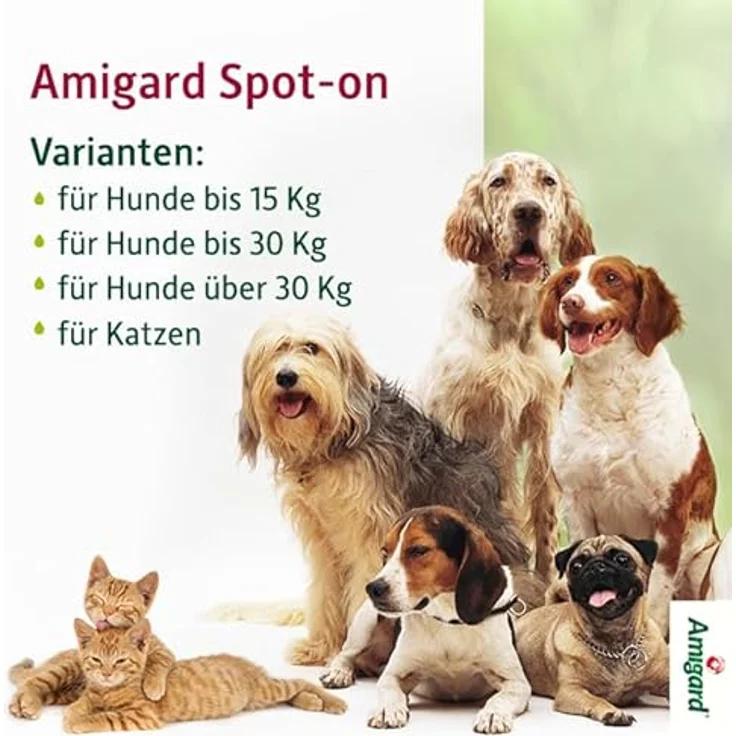 Amigard Spot-On 1er Pack für kleine Hunde, gegen Zecken und Flöhe, 1 Monat Schutz, pflanzliche Wirkstoffe, ohne Parfüm und Konservierungsmittel, vegan – Bild 8