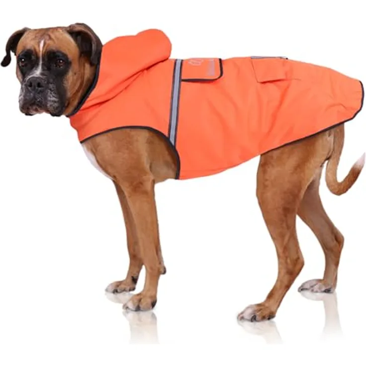 Bella & Balu Hunderegenmantel L, wasserdicht mit Kapuze und Reflektoren für sichere Gassigänge, orange