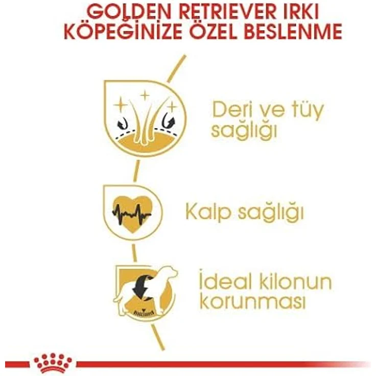 ROYAL CANIN Golden Retriever Adult, Trockenfutter für Hunde, 2x12kg, hochwertige Ernährung – Bild 4