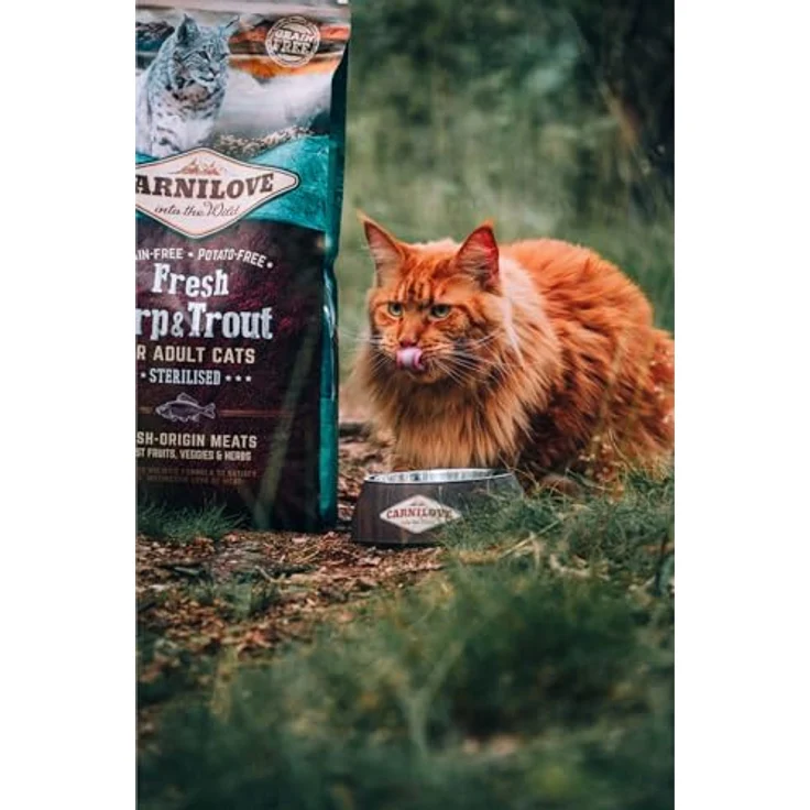 CARNILOVE Carnilove Fre Carp & Trout Sterilise, Trockenfutter für Katzen, 2 kg Packung mit 23 x 86,96 g – Bild 4