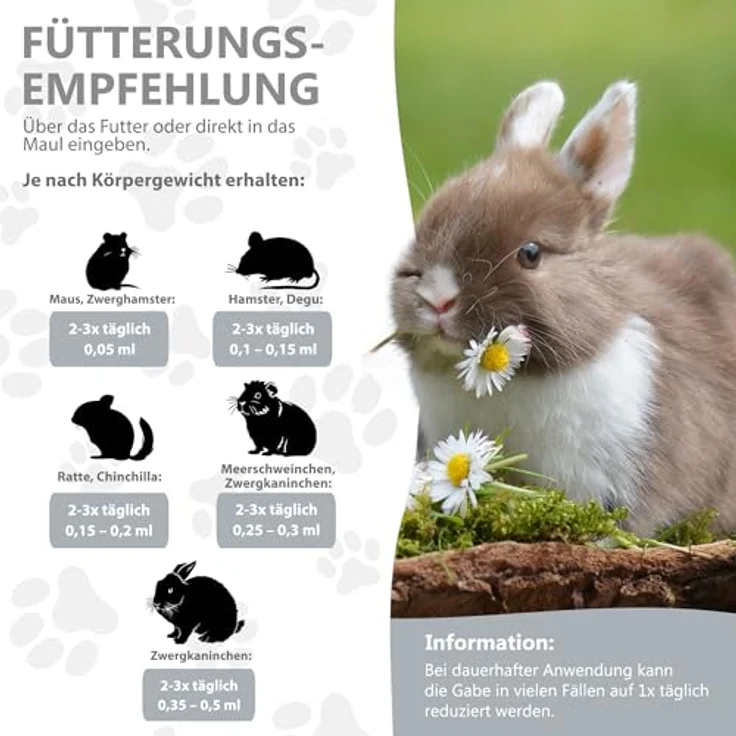 Alfavet Rodicare Senior, Ergänzungsfuttermittel für ältere Kaninchen, Meerschweinchen und Kleinnager, mit Ginseng, Ginkgo, Weißdorn, Zuckerfrei, Tonikum mit Dosierspritze, 20 ml – Bild 5