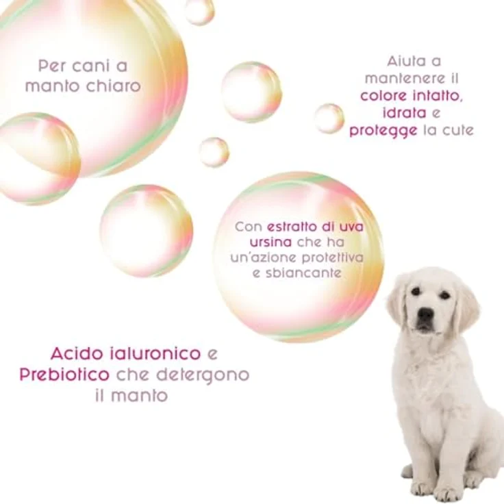 Inodorina Rituals Shampoo für Hunde mit weißem Fell, 250 ml – Parabenfrei, beruhigend, spendet Feuchtigkeit, UV-Filter, Bärentraube & Linde – Bild 2
