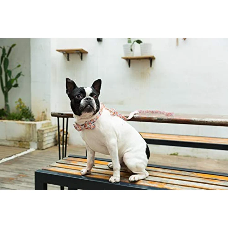 Unique Style Paws Hundehalsband Fliege, verstellbar, aus Baumwolle, mit geschweißtem D-Ring, für Hunde und Katzen, XL Größe – Bild 5