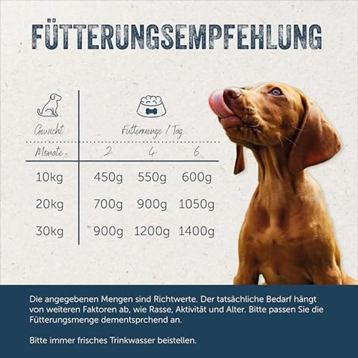 Lakefields Premium Welpenfutter Nass Rind 61%, getreidefrei, 6 x 200g, natürliche Zutaten in Lebensmittelqualität mit Äpfeln, Zucchini und Karotten – Bild 5