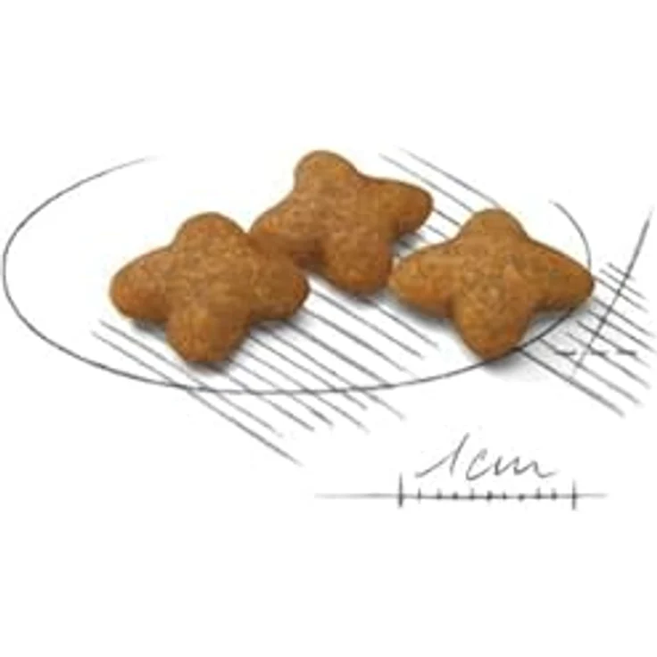 Royal Canin STERILISED X-SMALL, Trockenfutter für kastrierte sehr kleine Hunde bis 4 kg, 1,5 kg – Bild 3