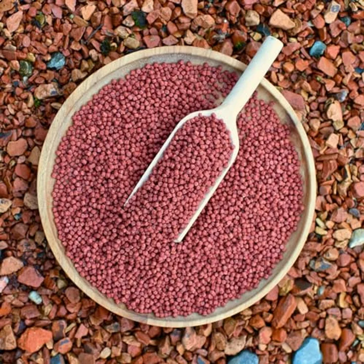 Lyra Pond® 2 x 10 L (7,4 kg) Pond Colour Astax Koi Pellets, proteinreiches Fischfutter mit Astaxanthin für kräftige Farben – Bild 5