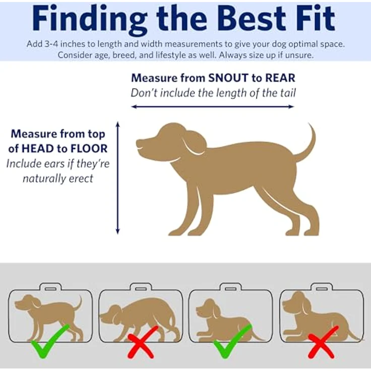 MidWest Homes for Pets iCrate Hundebox, klappbar mit 1 Tür und Trennwand, auslaufsichere Bodenwanne, für Minirassen bis 5 kg, robust und tragbar, 46 cm – Bild 3