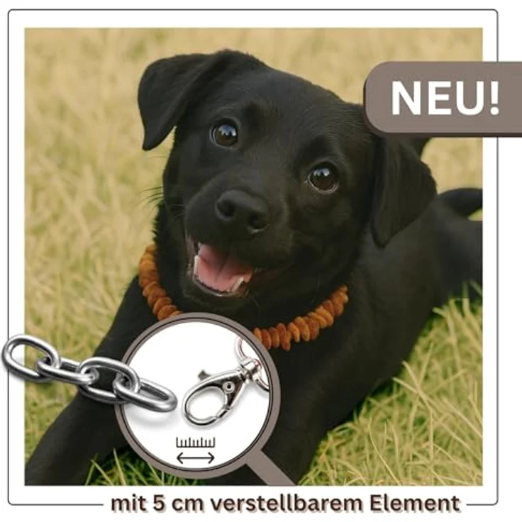 PetLove Bernsteinkette für Hunde und Katzen, 100% baltischer Bernstein, Länge: 50cm, handmade, stabil und flexibel – Bild 5