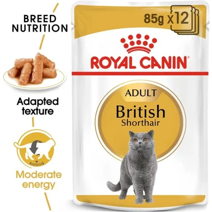 Royal Canin Adult British Shorthair Nassfutter, 12 x 85 g, Alleinfuttermittel mit niedrigen Energiegehalt und erhöhter Harnwegsgesundheit – Bild 2