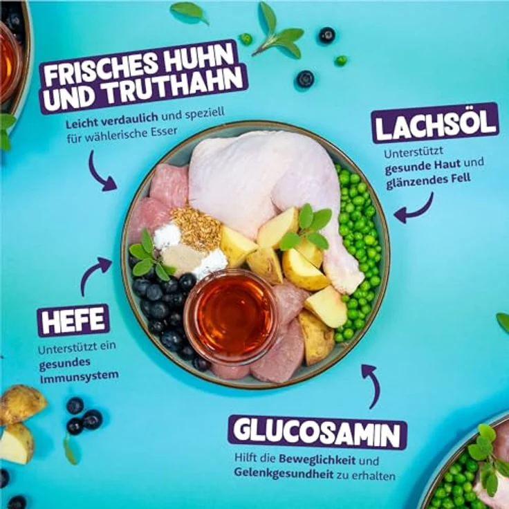 Edgard Cooper Katzenfutter, Trockenfutter für Senior Katzen mit Truthahn und Hühnchen, 2kg, getreidefrei, hypoallergen, für aktive und sterilisierte Katzen – Bild 2