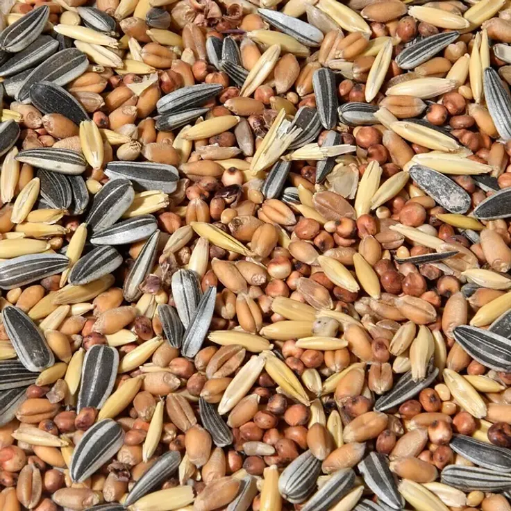 Dobar Wildvogelfutter (20 kg), Streufutter aus Getreide und Sonnenblumenkernen für freilebende Vogelarten, ideal für Ganzjahresfütterung