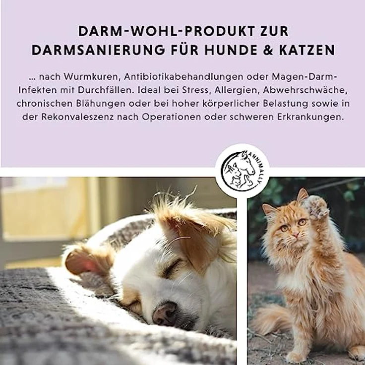 Annimally Hunde & Katzen Darmkur Pulver 250g, Synbiotikum zur Darmsanierung mit Probiotika und Präbiotika, ideal bei Durchfall und nach Wurmkur – Bild 3