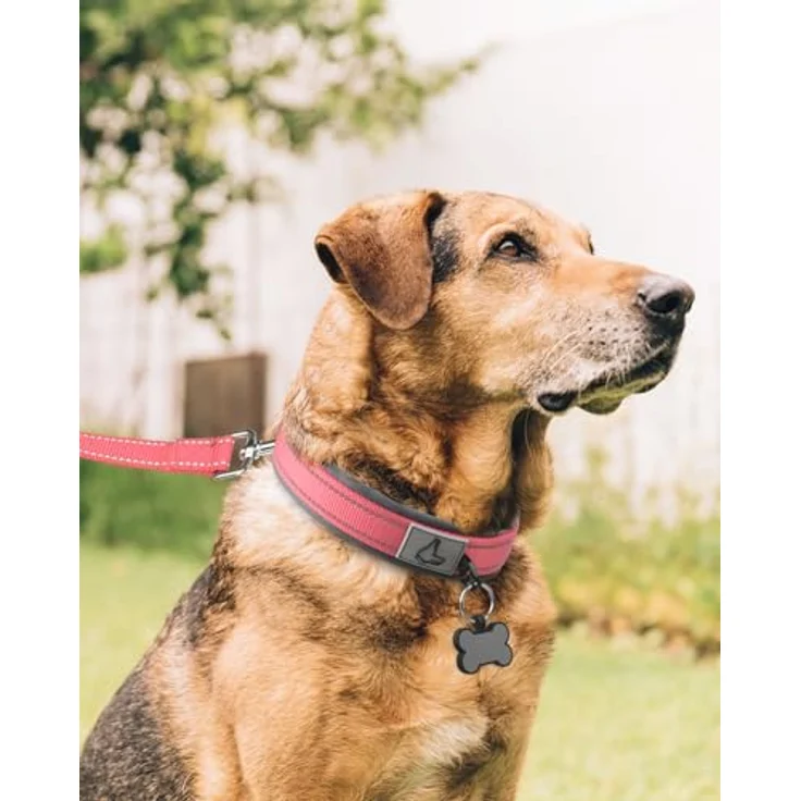 Joytale Gepolstertes Neopren Hundehalsband für Extra Große Hunde, Reflektierendes Nylon, Pink – Bild 3