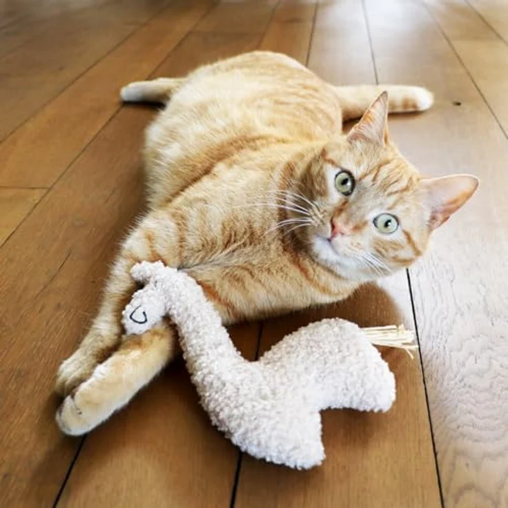 D&D Tierkuscheltier Katzenspielzeug Loki, großes Kissen mit Katzengras, verschiedene Farben – Bild 3
