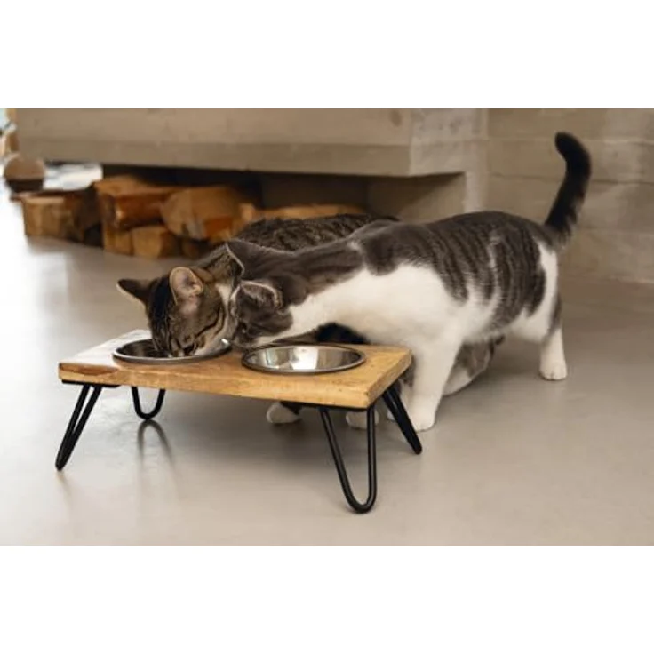 Designed by Lotte Linga Futternapf (0.32 l), Katzenschale aus Mangoholz und Edelstahl – Bild 9