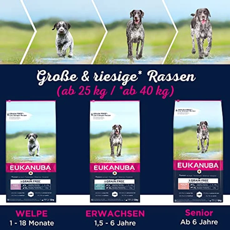Eukanuba Welpenfutter getreidefrei mit Fisch für große Rassen, Trockenfutter für Junior Hunde, 3 kg, reich an Seefisch und Lachs, Förderung der Lernfähigkeit und gesunden Verdauung – Bild 5