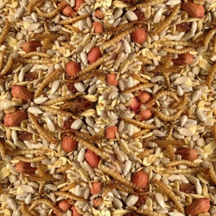 Pauls Mühle Wildvogelfutter Deluxe, 10 kg Mischung für Wildvögel – Bild 3