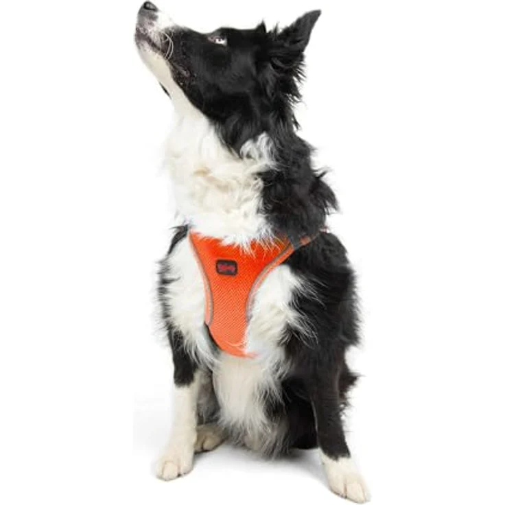 Tailpetz Air-Mesh Brustgeschirr für kleine und mittelgroße Katzen und Hunde – Weich, Atmungsaktiv, Strapazierfähig, Neonorange, XL (Brustumfang 66–70cm) – Bild 1