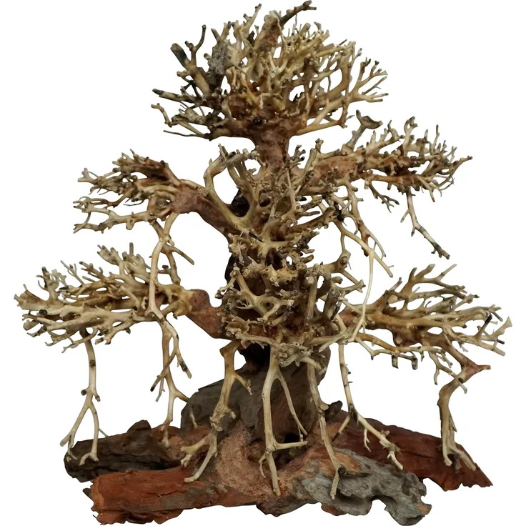 4fish Traerødder Old Bonsai, Aquarium Dekoration, 20x12x20 cm