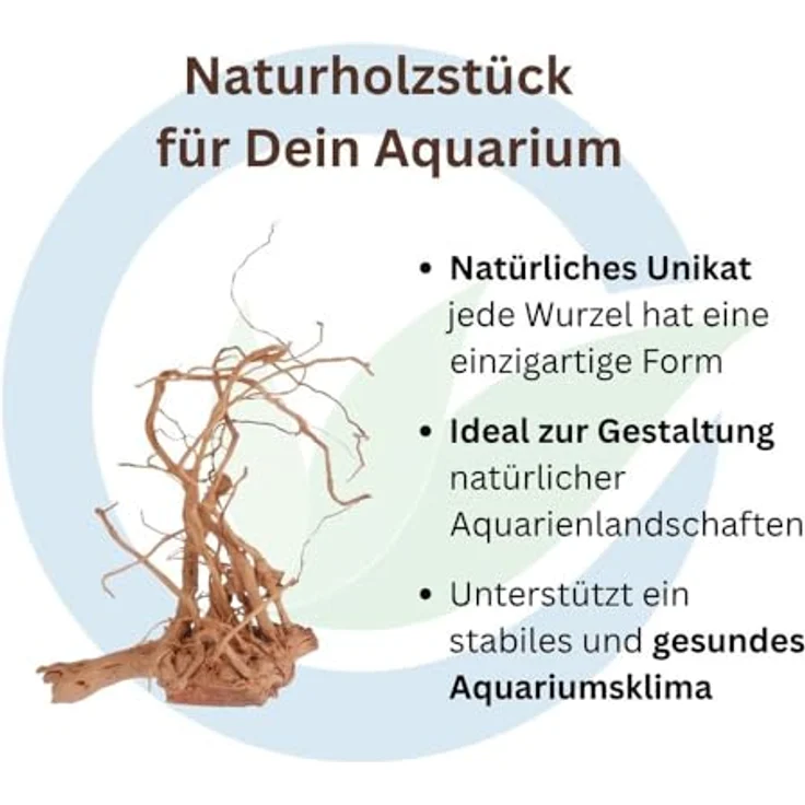 Aquaone Drachen Wurzel L, Aquarium Wurzel 60-80 cm mit filigranen Verästelungen und ausgeprägter Maserung – Bild 3