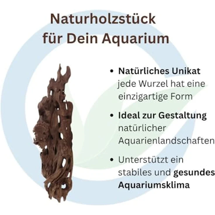 Aquaone Honey Comb Wurzel L, Aquarium-Wurzel 35-50 cm mit honigwabenartiger Struktur und natürlichen Versteckmöglichkeiten – Bild 3