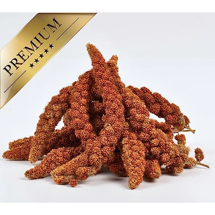 Lyra Pet® Kolbenhirse rot 15 kg, Handverlesenes Vogelfutter für Sittiche & Kanarienvögel, Natürliche Nährstoffquelle, Ideal für Zier- und Wildvögel – Bild 5