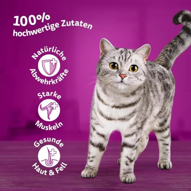 Whiskas Multipack 1+ Fisch Auswahl in Gelee, Katzenfutter, 12 x 85g – Bild 3