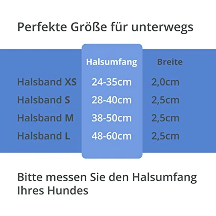BI International Leuchthalsband für Hunde [Das Original], LED Hundehalsband mit 3 Leuchtmodi und langlebigem Metallverschluss, schnelles Aufladen über USB – Bild 5