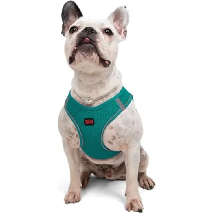Tailpetz Air-Mesh Brustgeschirr für kleine und mittelgroße Katzen und Hunde – Weich, Atmungsaktiv, Strapazierfähig, Dunkelgrün, Größe L (Brustumfang 59–63,5 cm) – Bild 1
