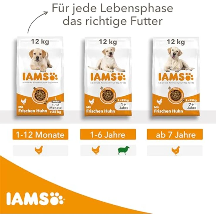 IAMS Senior Hundefutter trocken mit Huhn, Trockenfutter für große Hunde ab 7 Jahren, 3 kg, hochwertiges Protein, weizenfrei, für gesunde Gelenke und Hautpflege – Bild 5