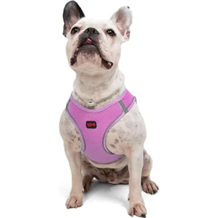Tailpetz Air-Mesh Brustgeschirr für kleine und mittelgroße Katzen und Hunde – Weich, Atmungsaktiv, Strapazierfähig, Lila, Größe L (Brustumfang 59–63,5 cm) – Bild 1