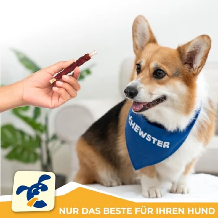 CHEWSTER Kaustangen für Hunde mit Ente, 36% Fleischanteil, getreidefrei, 350 g – Bild 3