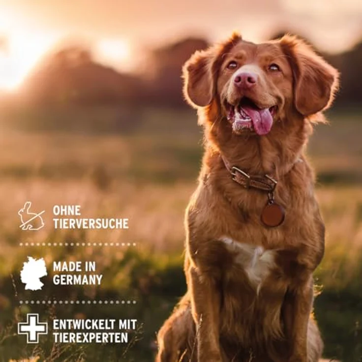 AniForte Fellharmonie Pflegespray Sensitive 200ml – Entwirrungsspray für Hunde & Katzen, gegen Juckreiz, sanfte Fellpflege ohne Mikroplastik – Bild 5
