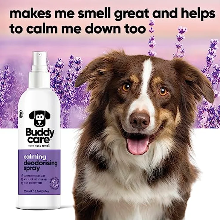 Buddycare Hunde-Desodorierungsspray Lavendel, beruhigend mit Aloe Vera und Pro-Vitamin B5, 200 ml – Bild 3