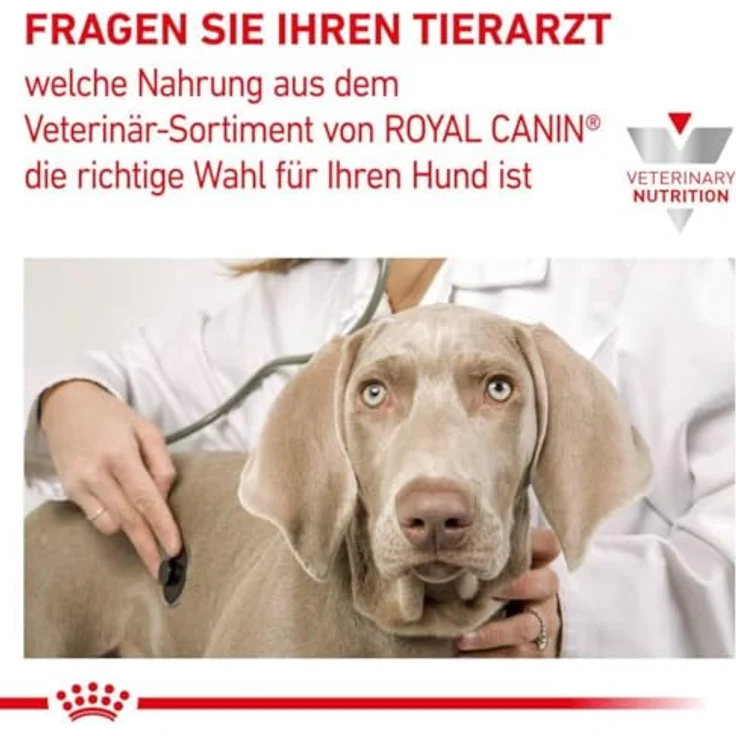 Royal Canin Veterinary Diabetic Mousse, 12 x 410 g, Nassfutter für ausgewachsene Hunde, zur Blutzuckerregulierung, hoher Proteingehalt, niedrigem Kohlenhydratanteil – Bild 4