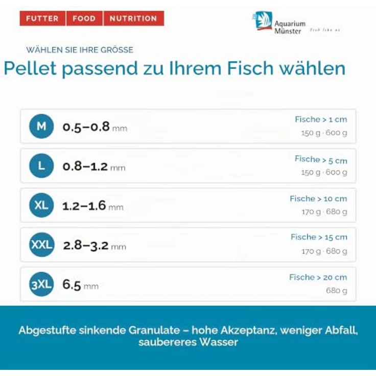Dr. Bassleer Biofish Food regular "L", Fischfutter für Fische > 5 cm, 600 g – Bild 3