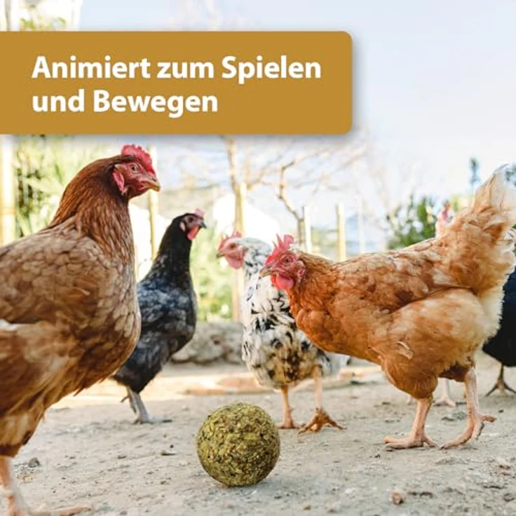 Quiko Hobby Farming Fitness Kräuter Ball für Hühner, 4x 100g, Bunter Fitness Ball aus schmackhaften Kräutern und Leckereien, Hühner Beschäftigungsspielzeug – Bild 2