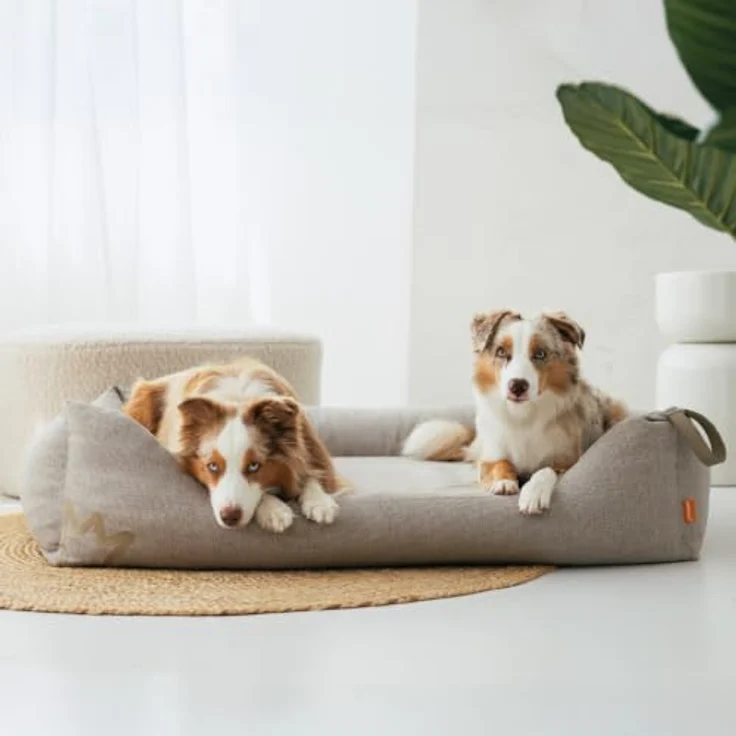 Rudelkönig Orthopädisches Hundebett Koye für große Hunde, mit waschbarem Premium-Bezug und Memory Foam für optimalen Schlafkomfort – Bild 2