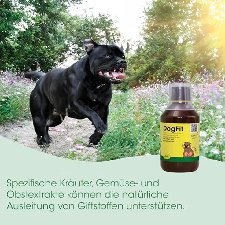 cdVet DogFit, flüssiges Ergänzungsfuttermittel zur Unterstützung der Leber- und Nierenfunktion, 500 ml mit Holunderbeer- und Rote Betesaft – Bild 7