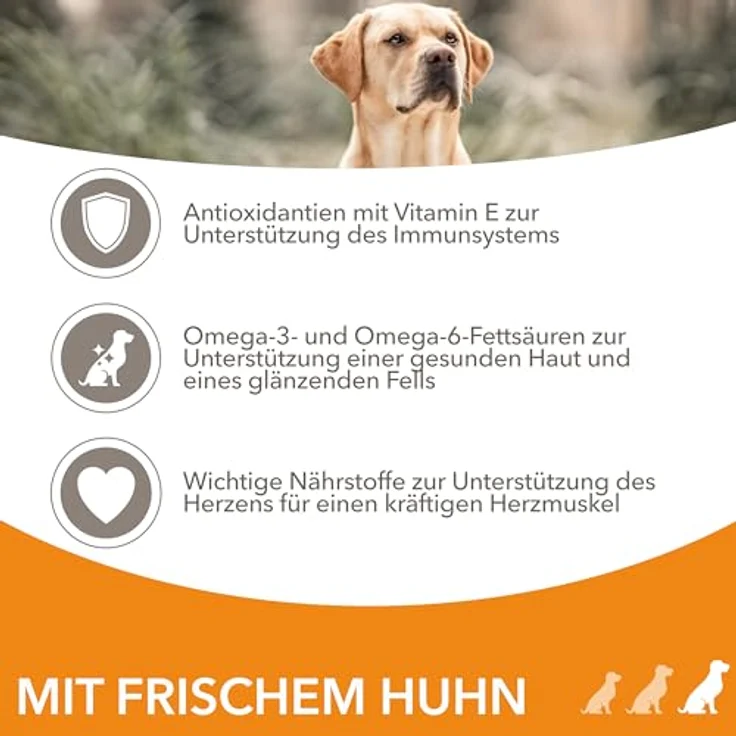 IAMS Hundefutter trocken mit Huhn, Trockenfutter für große Hunde ab 1 Jahr, 5 kg, weizenfrei, mit Omega 3 und 6, für gesunde Haut und glänzendes Fell – Bild 4