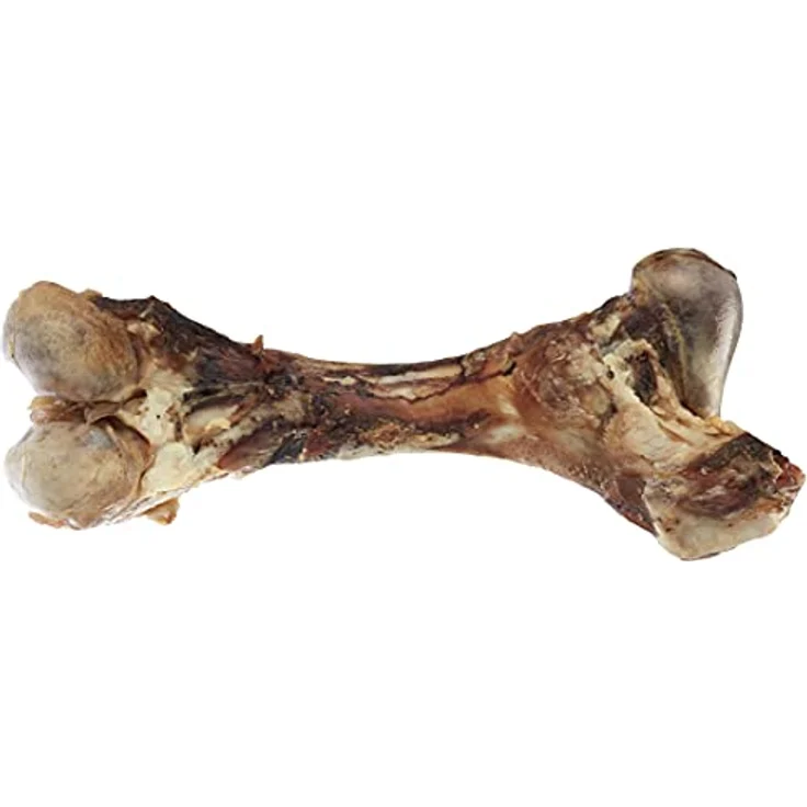Nobby Rinderknochen XXL, Naturknochen lufgetrocknet, 1 Stück (1800 - 2300 g), 45-55 cm, vakuumverpackt – Bild 2