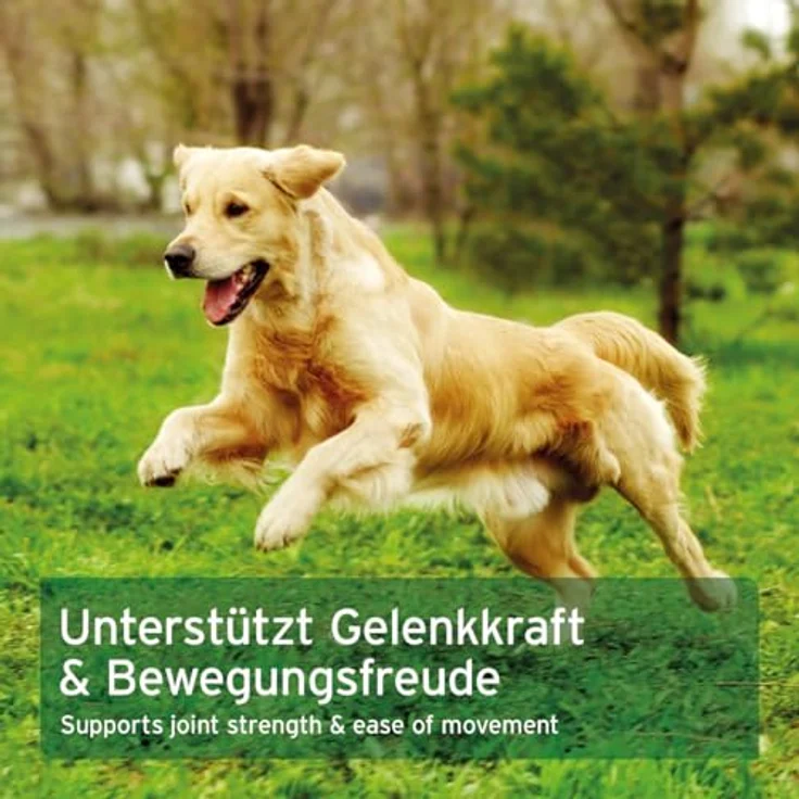 AniForte MSM Pulver 300g, reines Methylsulfonylmethan für Hunde und Katzen zur Gelenkunterstützung und Stoffwechselverbesserung – Bild 6