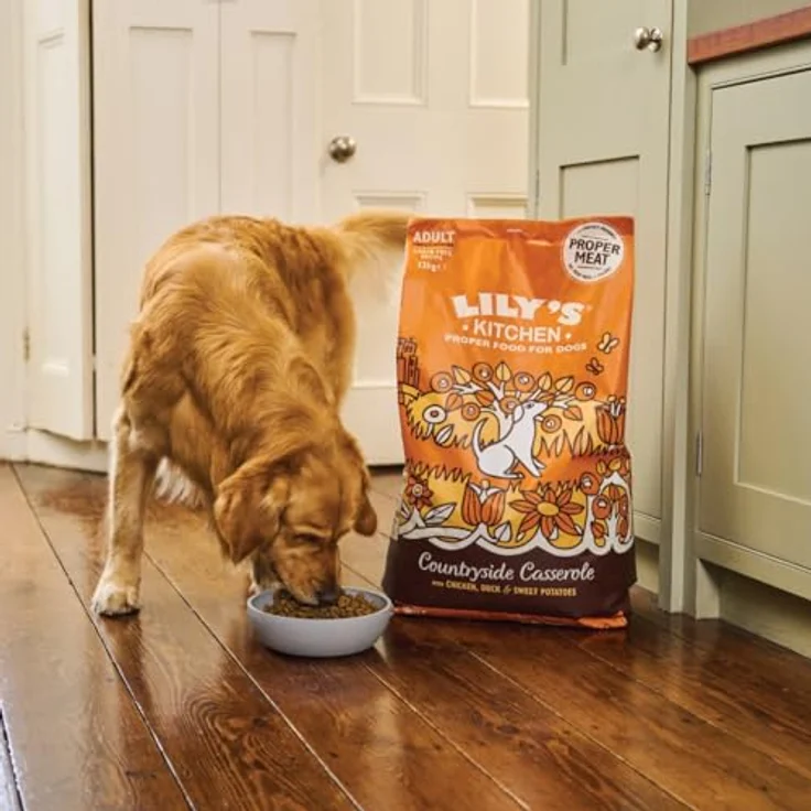 Lily's Kitchen Hundefutter Huhn & Ente, getreidefreies Trockenfutter für ausgewachsene Hunde, 4 x 1kg Beutel – Bild 4