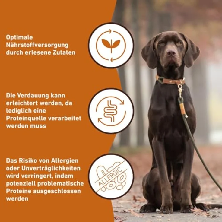Wildfang® Premium Hunde-Nassfutter Huhn Pur, Monoprotein, getreidefrei, B.A.R.F. Qualität, 6 x 400g – Bild 4
