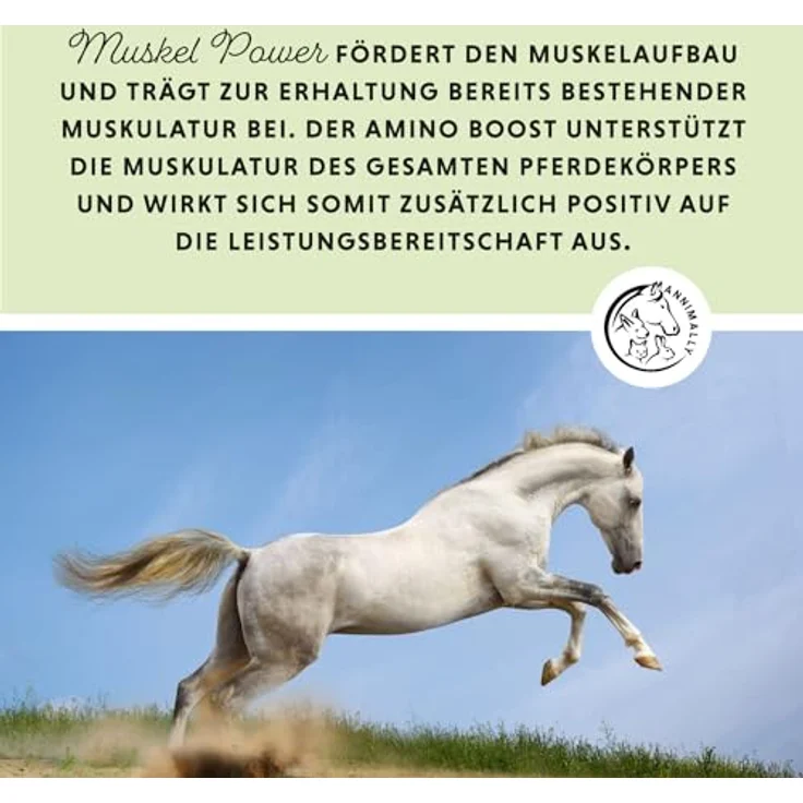 Annimally Muskelaufbau Pulver für Pferde 2kg, Amino Zusatzfutter mit Sojaprotein, Lysin, Carnitin, Threonin, Methionin - zur Stärkung der Muskulatur, hergestellt in Deutschland – Bild 2
