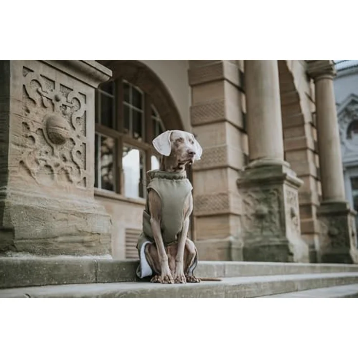 Hunter Hunde-Mantel Uppsala Trend 40 cm Hals 30-56 cm Bauch 56-80 cm – Bild 10